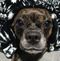 Profile Picture of Loretta Gandelli (@loretta.gandelli.5) on Facebook