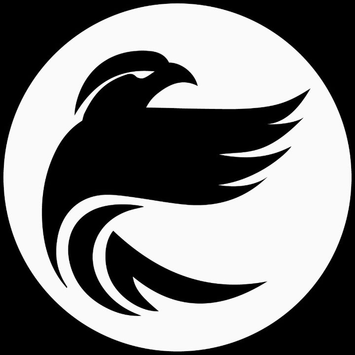Profile Picture of FalconFlair (@falconflair) on Tiktok