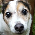 Profile Picture of Dennis Oates (@mr_squilliams) on Instagram