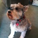 Profile Picture of JoAnn Simms (@simmsjoann) on Instagram