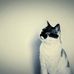 Profile Picture of Joe Trebol (@Joe-Trebol) on Facebook