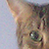 Profile Picture of Becky Snead (@insights2) on Flickr