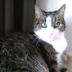 Profile Picture of Iris Schultz (@iris.schultz.165) on Facebook