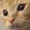 Profile Picture of Matthew Patton (@@pattmatt_) on Tiktok