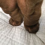 Profile Picture of 제리+벼리+진구 (@jerry_byul_jingu) on Instagram