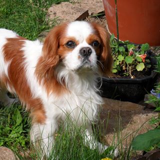 Profile Picture of Patrick Adamiak (@Patrick-Adamiak) on Facebook