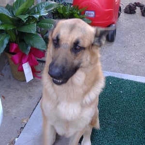 Profile Picture of Thomas Spicuzza (@idontnowyou) on Myspace