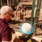 Profile Picture of Julien Ahmed Billon (@jul_stc_) on Instagram