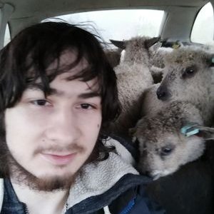 Profile Picture of Jamie Hamp (@Jamie_Hamp) on Twitter