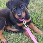 Profile Picture of James Sontag (@james_sontag) on Instagram