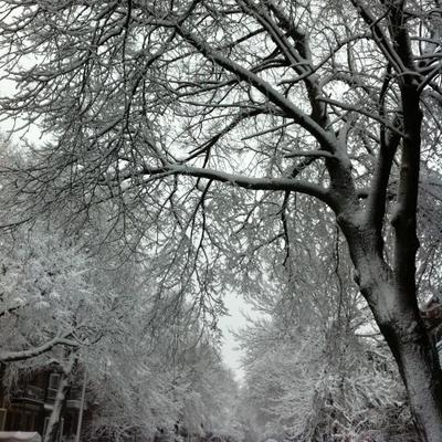 Profile Picture of Joseph Larochelle (@joelaroche7) on Twitter