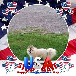 Profile Picture of Pat Shook (@pat.shook.397) on Facebook