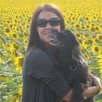 Profile Picture of Kelly Niland (@kmniland) on Pinterest