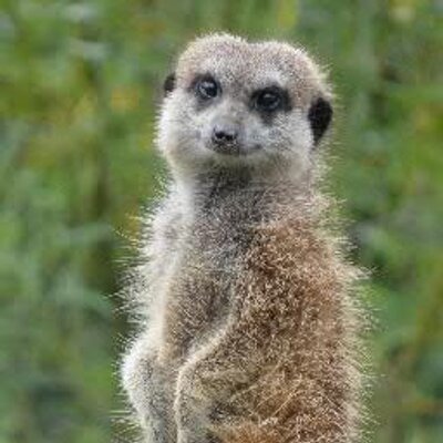 Profile Picture of Daniel Appleby (@DanAppleby398) on Twitter