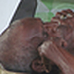 Profile Picture of Hani Al Ayoubi (@Hani.A) on Flickr