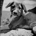 Profile Picture of Joshua Kenney (@jshkenney) on Pinterest