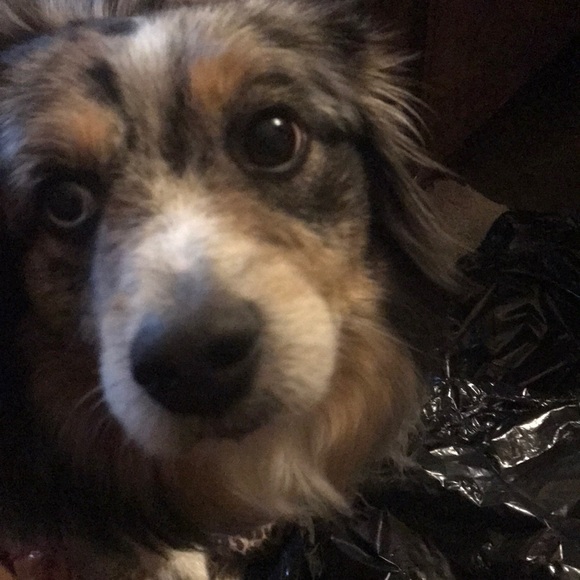 Profile Picture of Jeremy Wilmoth (@razrbacs) on Poshmark