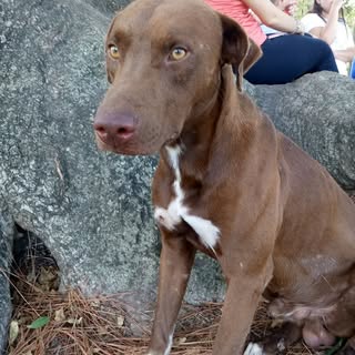 Profile Picture of Brandon.Canton (@brandon.canton) on Instagram