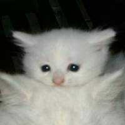 Profile Picture of Summer Marshall (@SummerDJasmine) on Twitter