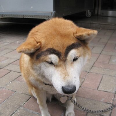 Profile Picture of TETU (@dsg_tsukidate) on Twitter