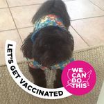 Profile Picture of Beverly Gant Treue (@btreue) on Instagram