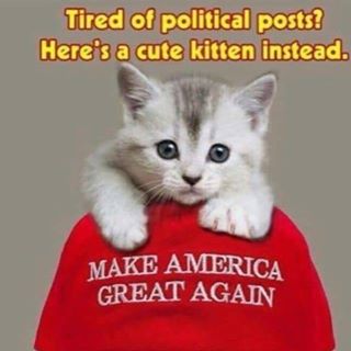 Profile Picture of Sylvia Pando (@sylvia.pando.3) on Facebook