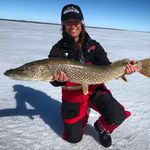 Profile Picture of Cheryl Frank Sullivan (@wildfisherwoman) on Instagram