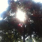 Profile Picture of Matheny Glenn (@ilerergy) on Instagram