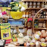 Annie Ledoux - Instagram Profile Picture of Annie Ledoux (@annie.ledoux.33) on Instagram