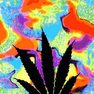 Profile Picture of Karly Farber (@karly.farber) on Facebook