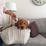 Profile Picture of Stanley (@lookatmeimstanley) on Instagram