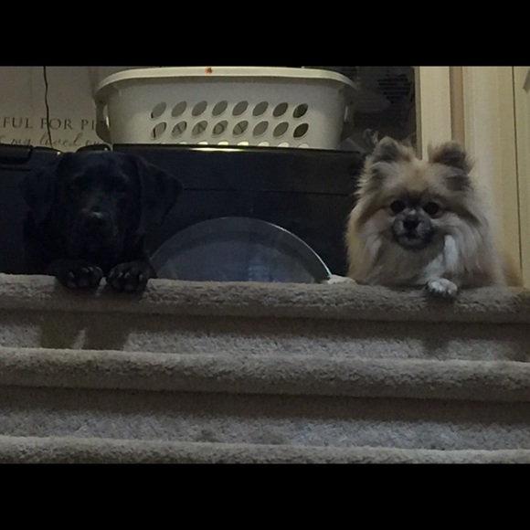 Profile Picture of Darcy Sliger (@dlsliger) on Poshmark