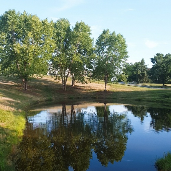 Profile Picture of Lisa Lisa (@mjjj372) on Poshmark