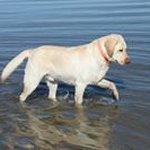 Profile Picture of Mark Eakes (@mark.eakes) on Instagram