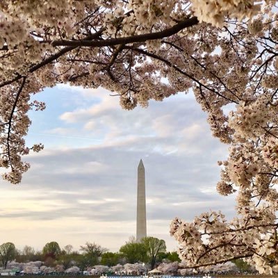 Profile Picture of Saint Jose (@ren585858) on Twitter