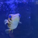 Profile Picture of Kevin Hubbard (@Kevin-Hubbard) on Facebook