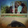 Profile Picture of Pieter Falkena (@pieterfalkena) on Tiktok