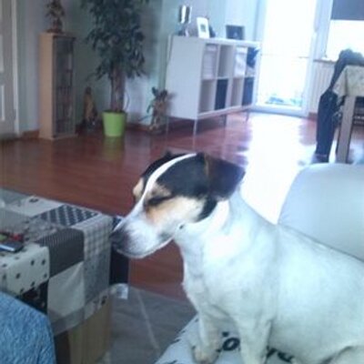 Profile Picture of Chris Hermans (@chriskerkrade) on Twitter