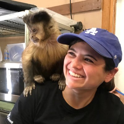 Profile Picture of Stephanie Goldberger (@sgoldberger12) on Twitter