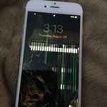 Profile Picture of Lucas (@lucas._.cobb) on Instagram