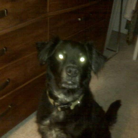 Profile Picture of Avek Aniles (@ksmiller1993) on Poshmark