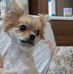 Profile Picture of David Kazemi (@david.kazemi.14855) on Facebook
