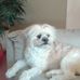 Profile Picture of Larry Friel (@larry.friel.79) on Facebook