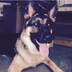 Profile Picture of Mark Ayad (@ayad3827) on Instagram