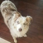 Ashtyn Hall - Instagram Profile Picture of Ashtyn Hall (@_0utside_the_lines_) on Instagram