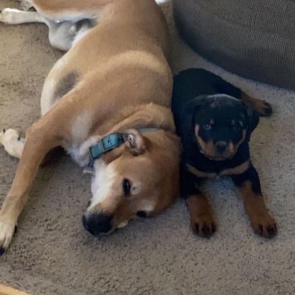 Profile Picture of Taylor Pankoff (@taylorpankoff) on Poshmark