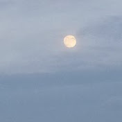 Profile Picture of Guillermo Marroquin (@gotan0) on Youtube