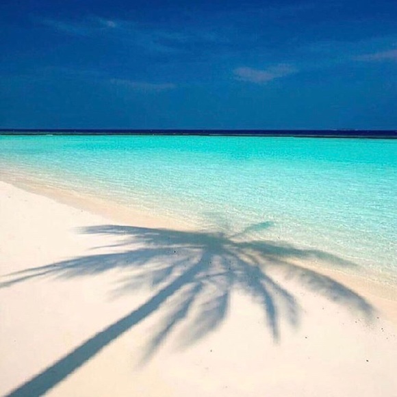 Love Palms - Poshmark Profile Picture of Love Palms (@lovepalms) on Poshmark