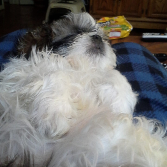 Profile Picture of Joyce Suggs (@joycesuggs) on Poshmark