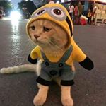 Profile Picture of David (@iskra_aushilfe) on Instagram